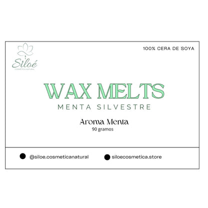 Menta Silvestre