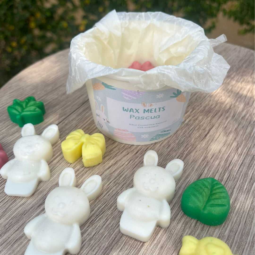 Wax Melts Pascua