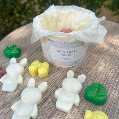 Wax Melts Pascua